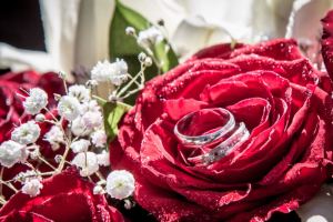 wedding_rings